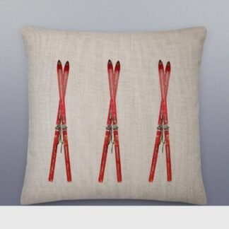Red Vintage Skis Premium Pillow