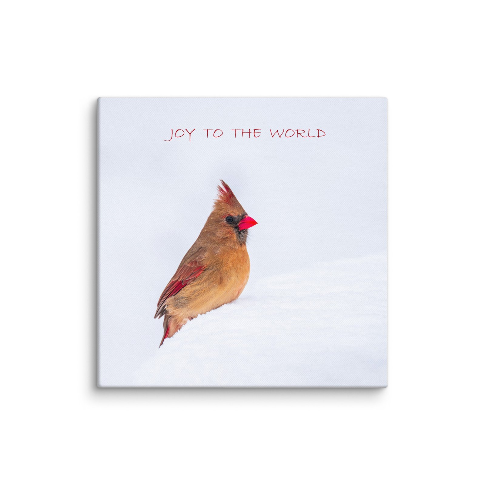 Joy to the World Cardinal Canvas Wall Art - Image 9