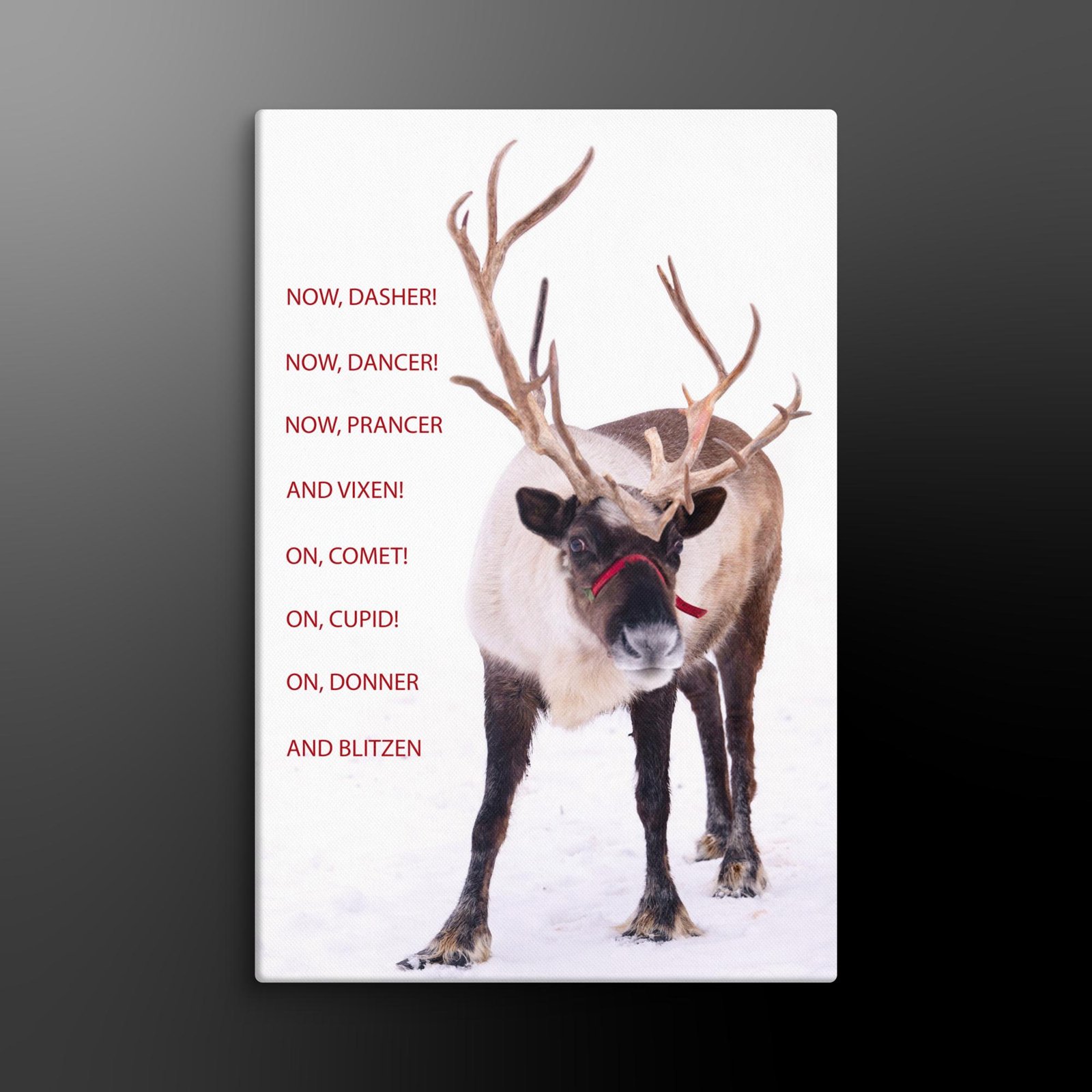 Reindeer Photo Canvas, On Dasher, On Dancer, Christmas Wall Art - Image 5