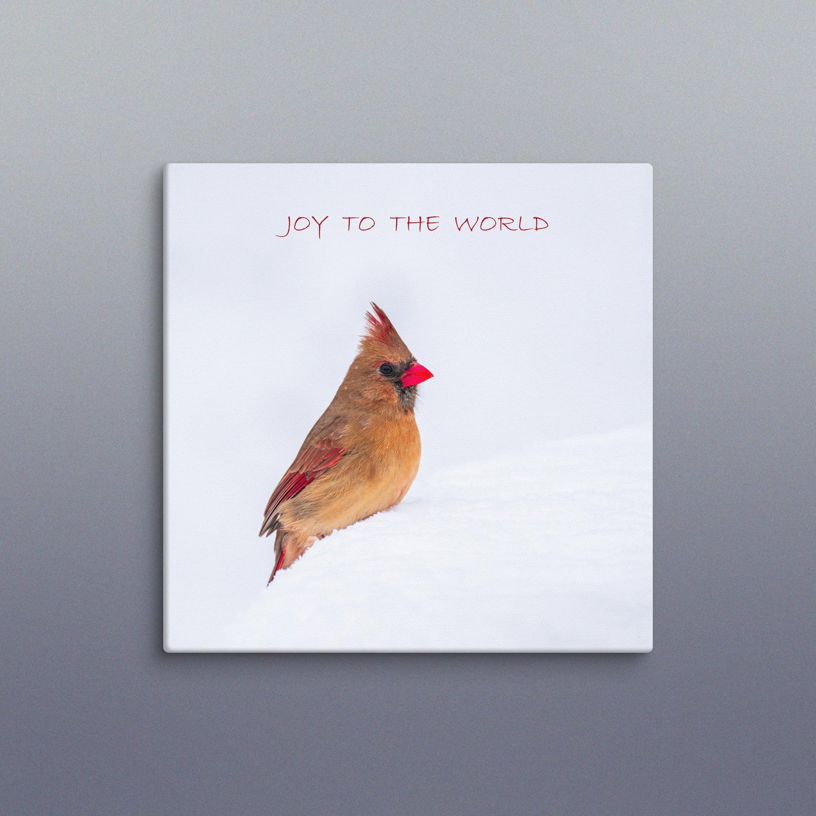 Joy to the World Cardinal Canvas Wall Art