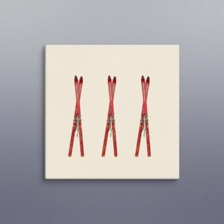 Red Vintage Skis Photo Canvas Wall Art