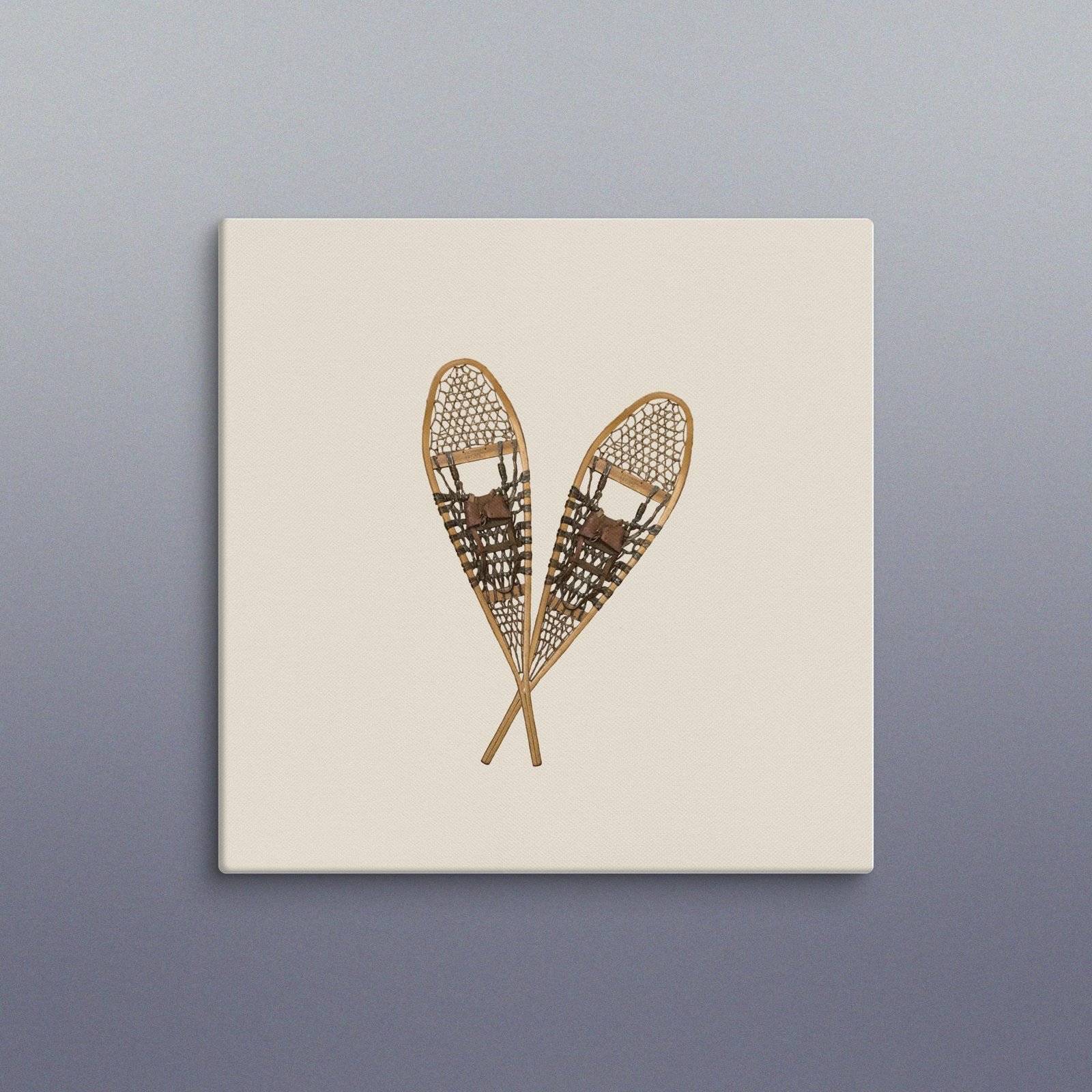 Vintage Snowshoe Winter Photo Canvas