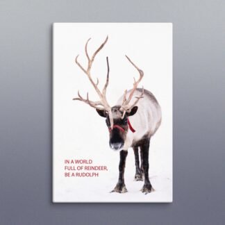 Reindeer Photo Canvas, In a World Full of Reindeer, Rudolph