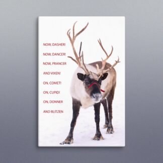 Reindeer Photo Canvas, On Dasher, On Dancer, Christmas Wall Art