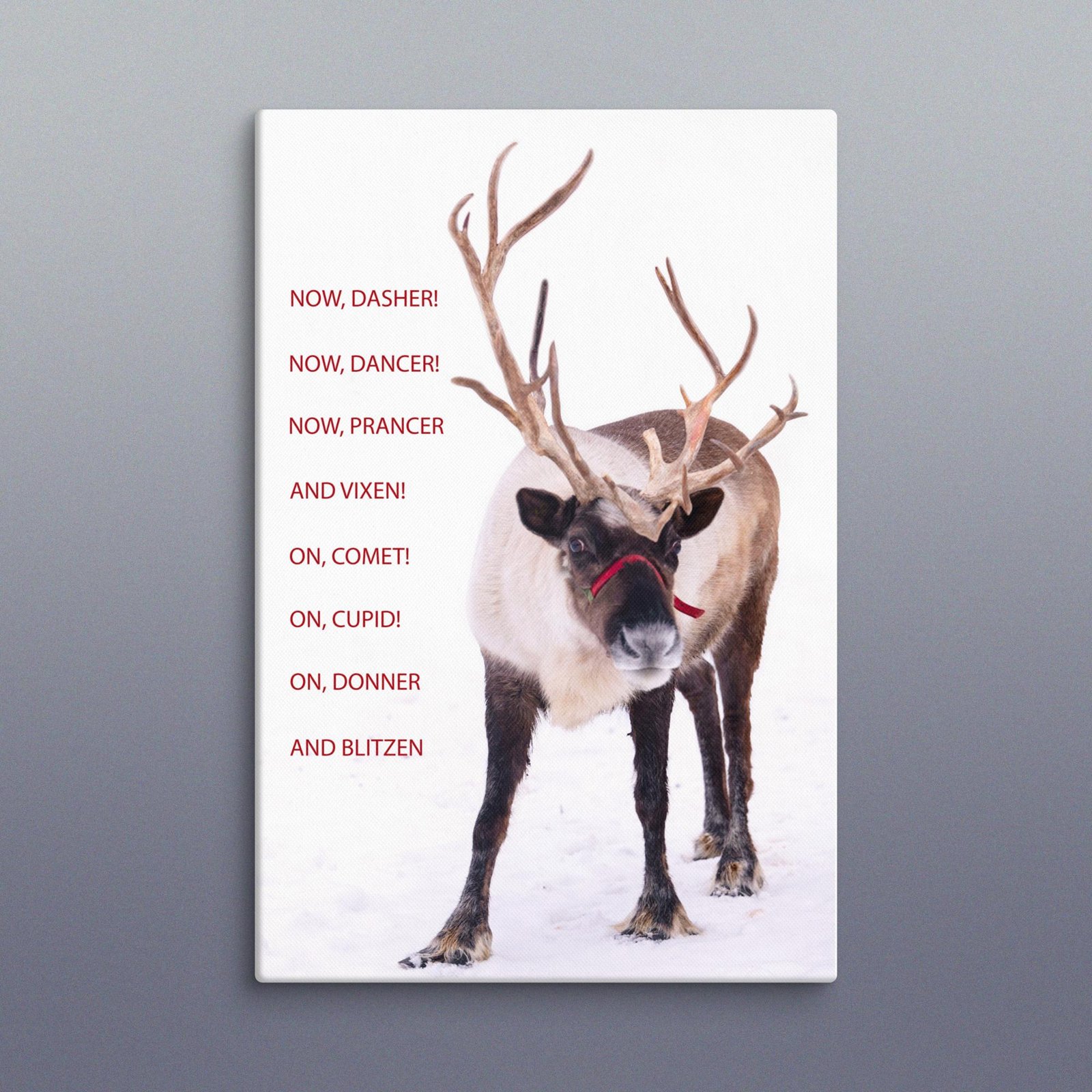 Reindeer Photo Canvas, On Dasher, On Dancer, Christmas Wall Art