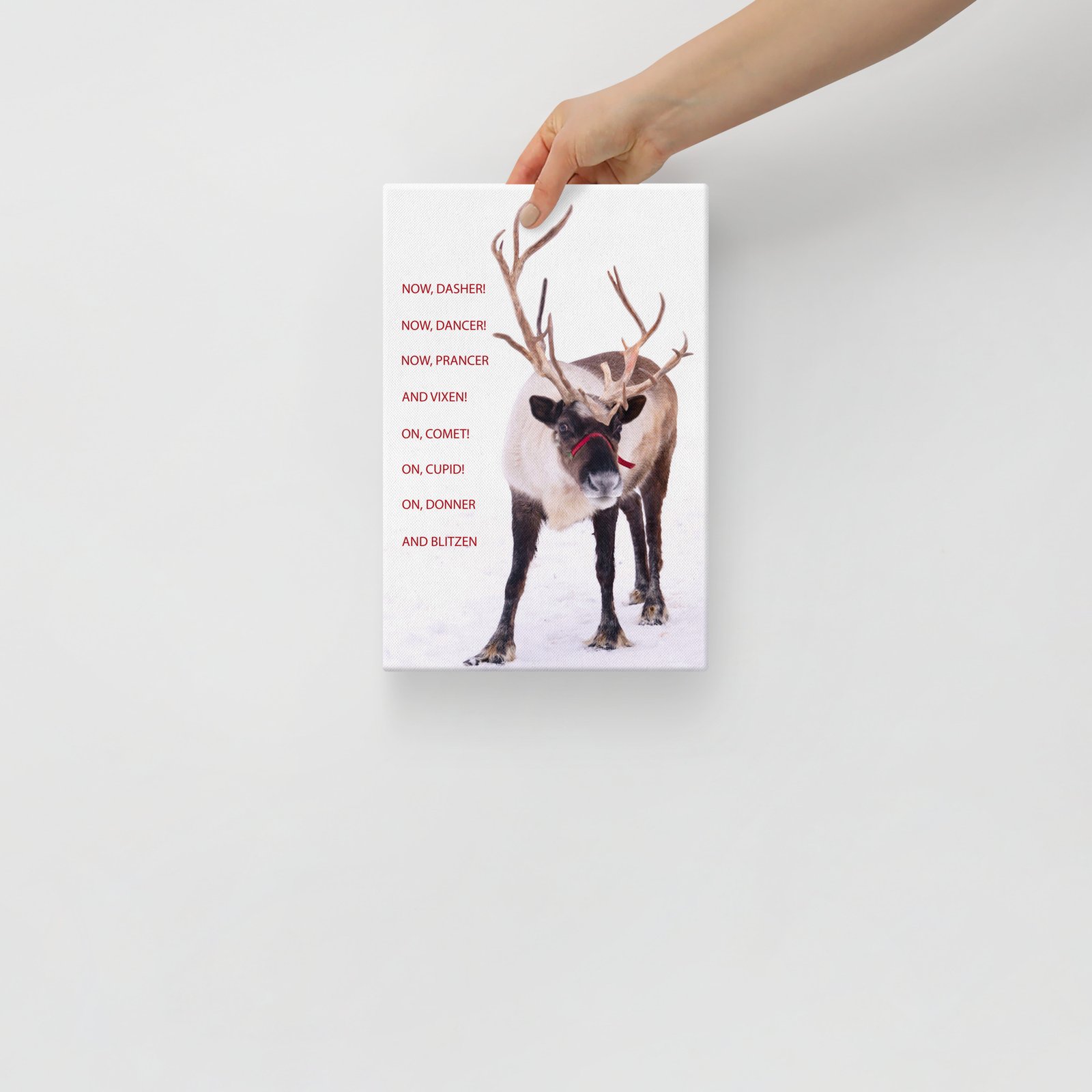 Reindeer Photo Canvas, On Dasher, On Dancer, Christmas Wall Art - Image 2