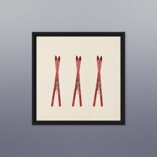 Vintage Red Skis Framed Photo Canvas