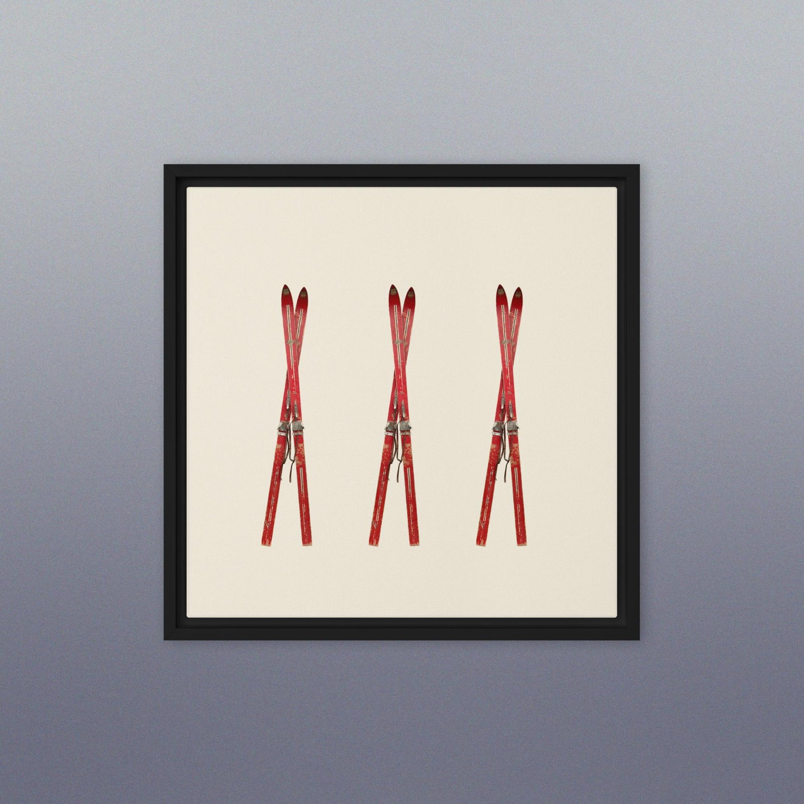 Vintage Red Skis Framed Photo Canvas