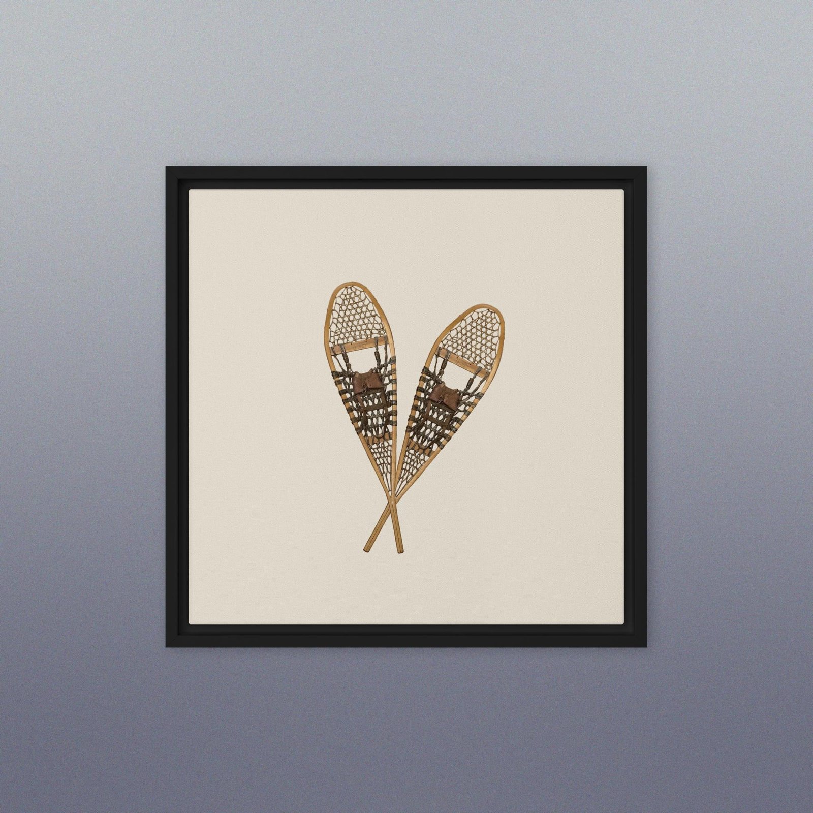 Vintage Snowshoe Framed Photo Canvas Wall Art