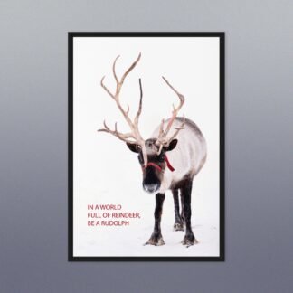 Reindeer Photo Framed Canvas, In a World Full of Reindeer, Rudolph