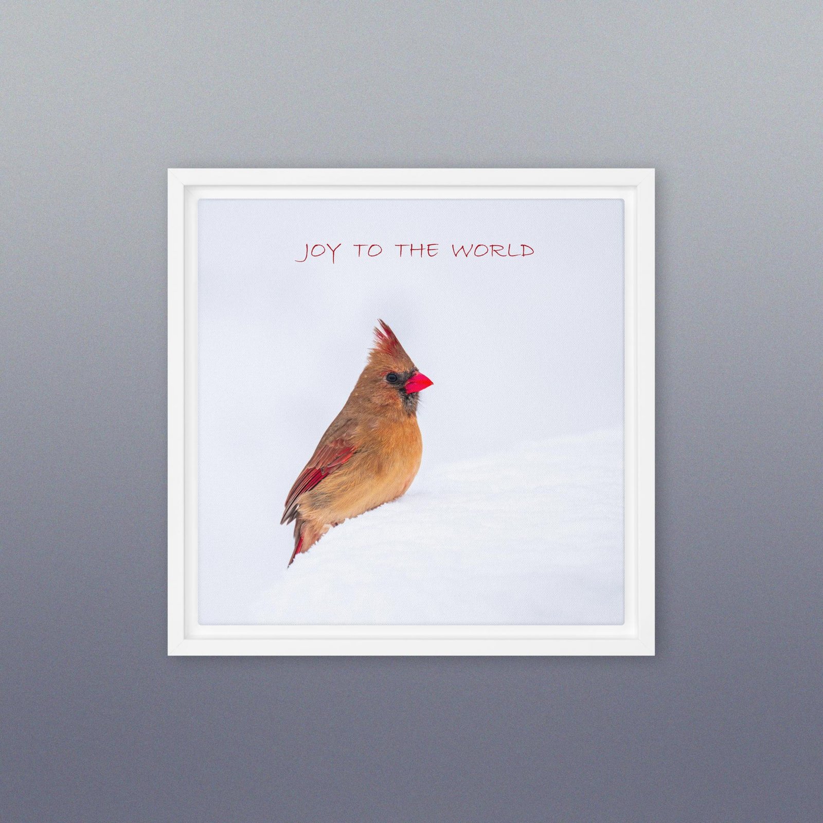Winter Cardinal Framed Photo Canvas, Joy to the World - Image 3