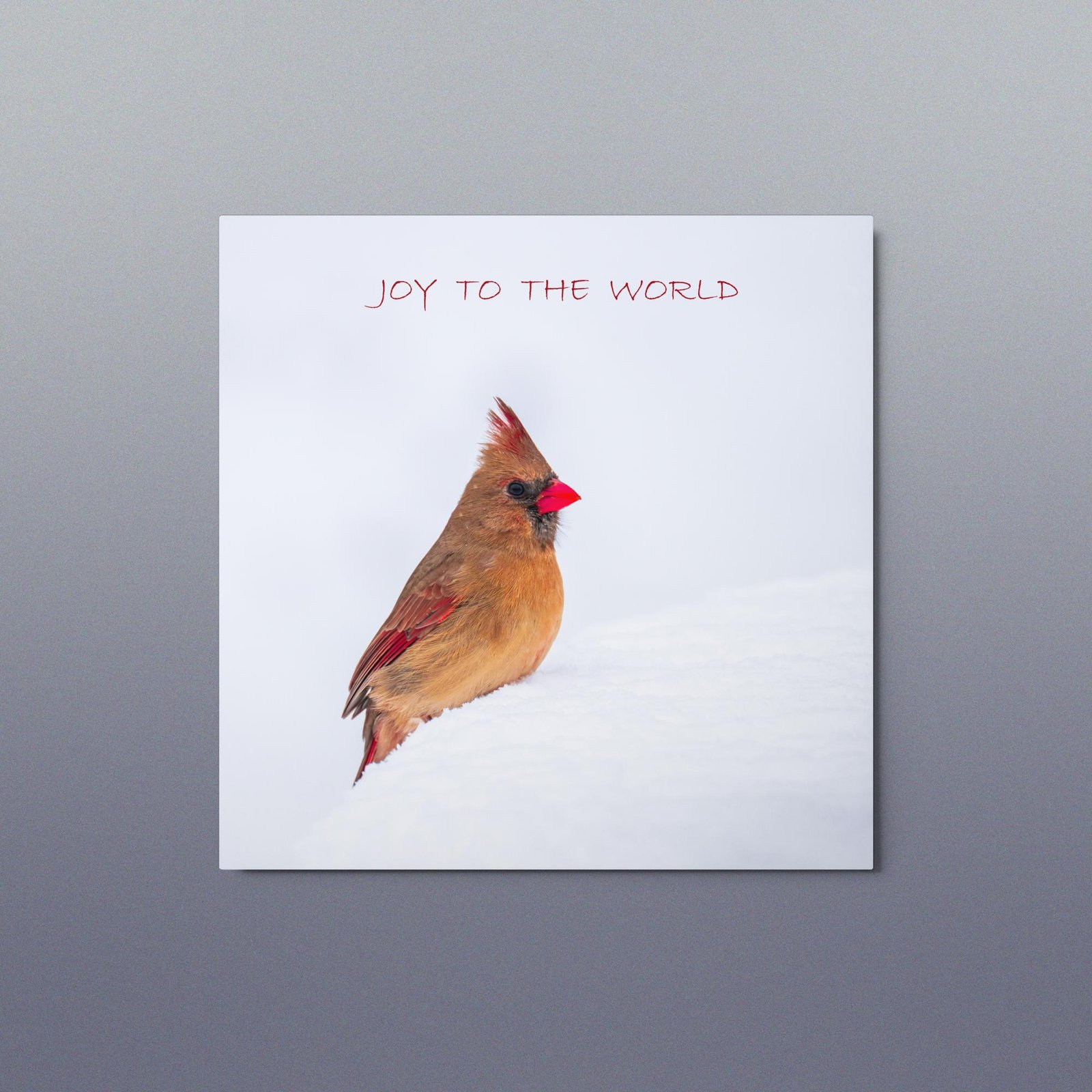 Winter Cardinal Metal Print, 12x12, Joy to the World