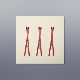 Red Vintage Skis Photo Metal Print