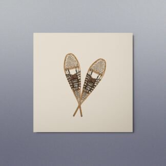 Vintage Snowshoe Metal Print