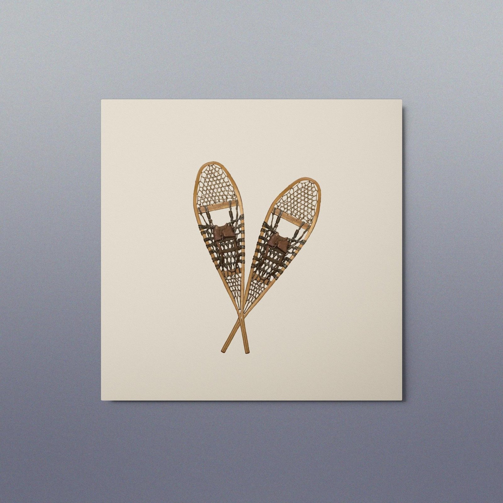 Vintage Snowshoe Metal Print