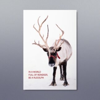 Reindeer Be a Rudolph Metal Christmas Print