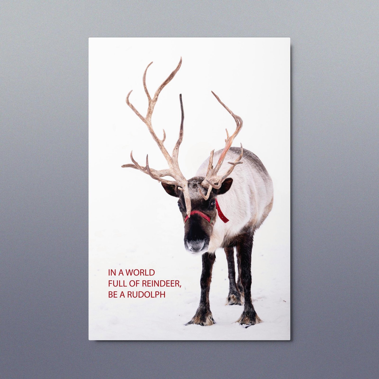 Reindeer Be a Rudolph Metal Christmas Print