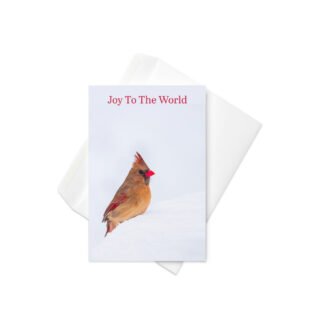 Joy to the World Cardinal Christmas Greeting Card