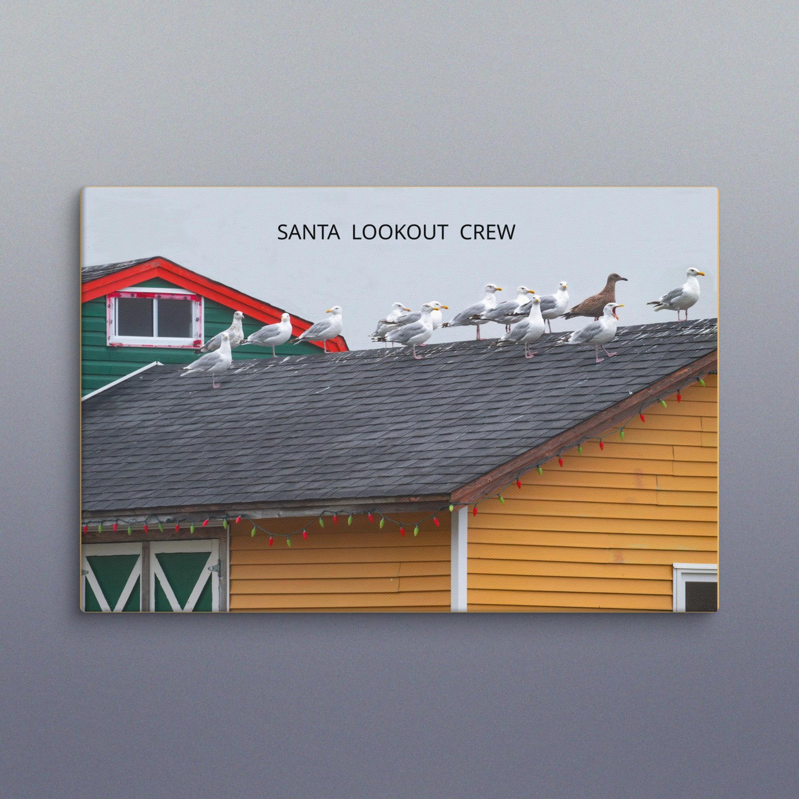 Seagulls on Roof Watching For Santa Christmas Canvas Wall Art